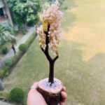 Rose Quartz Tree Benefits