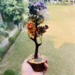 Seven Chakra Tree Benefits