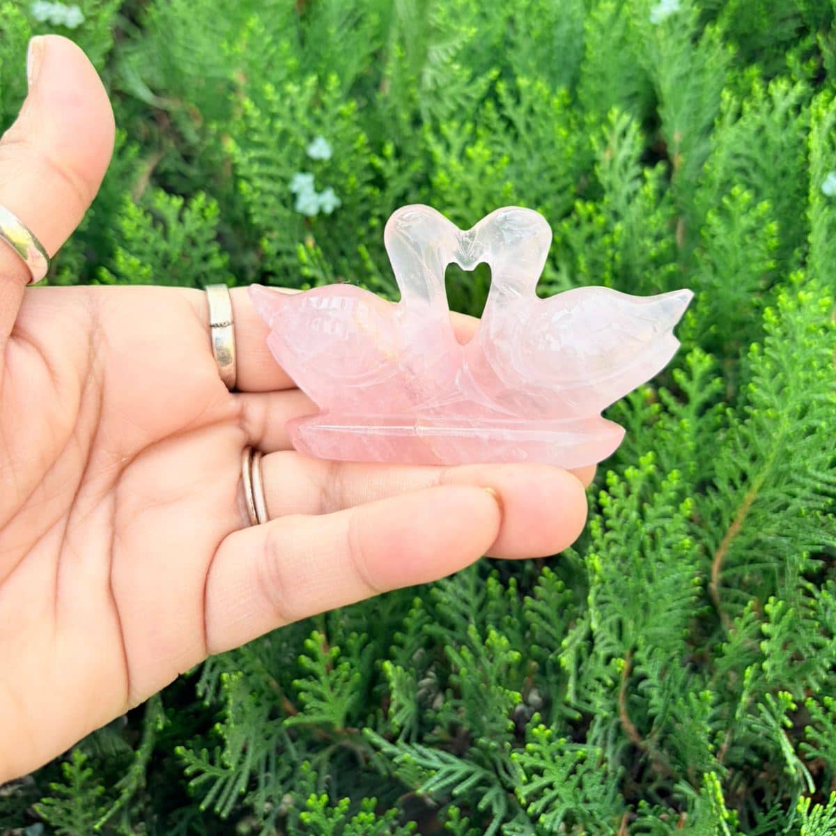 Rose Quartz Swan Pair